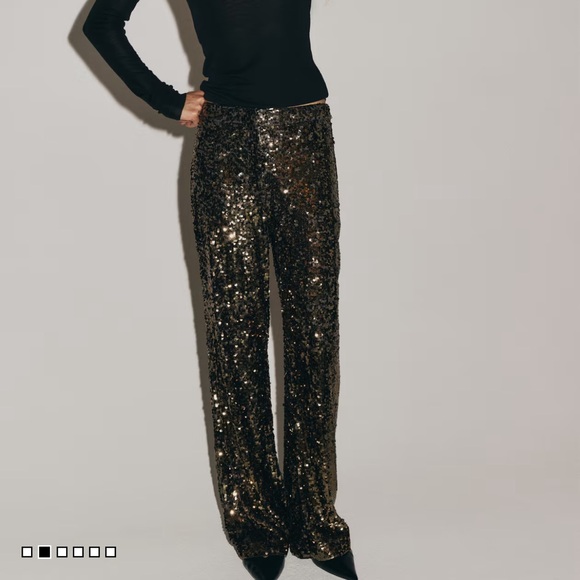 H&M Pants - NWT Sequinned Pants